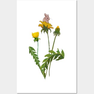 Dreamy dandelions Posters and Art